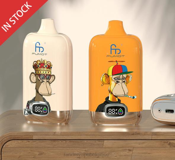 RandM Belgique | menthe fraîche Fumot Original RandM Digital Box Batterie 12000 et dispositif de vape à affichage liquide D8Z61
