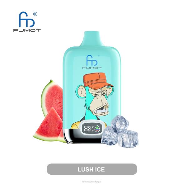 RandM Vape Discount Code | glace luxuriante Fumot Original RandM Digital Box Batterie 12000 et dispositif de vape à affichage liquide D8Z67