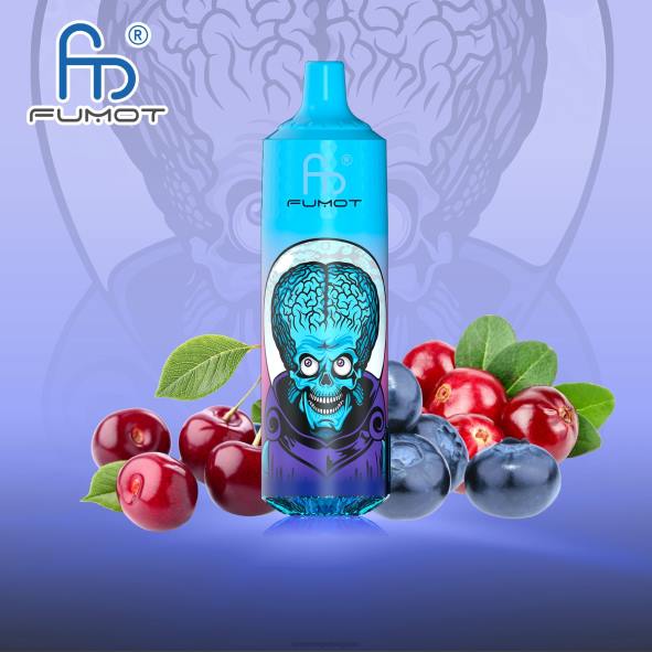 RandM Vape Bruxelles | baie de cerise Fumot RandM Tornado Appareil de vape 9000 pro avec batterie et écran ejuice version 1 D8Z6184