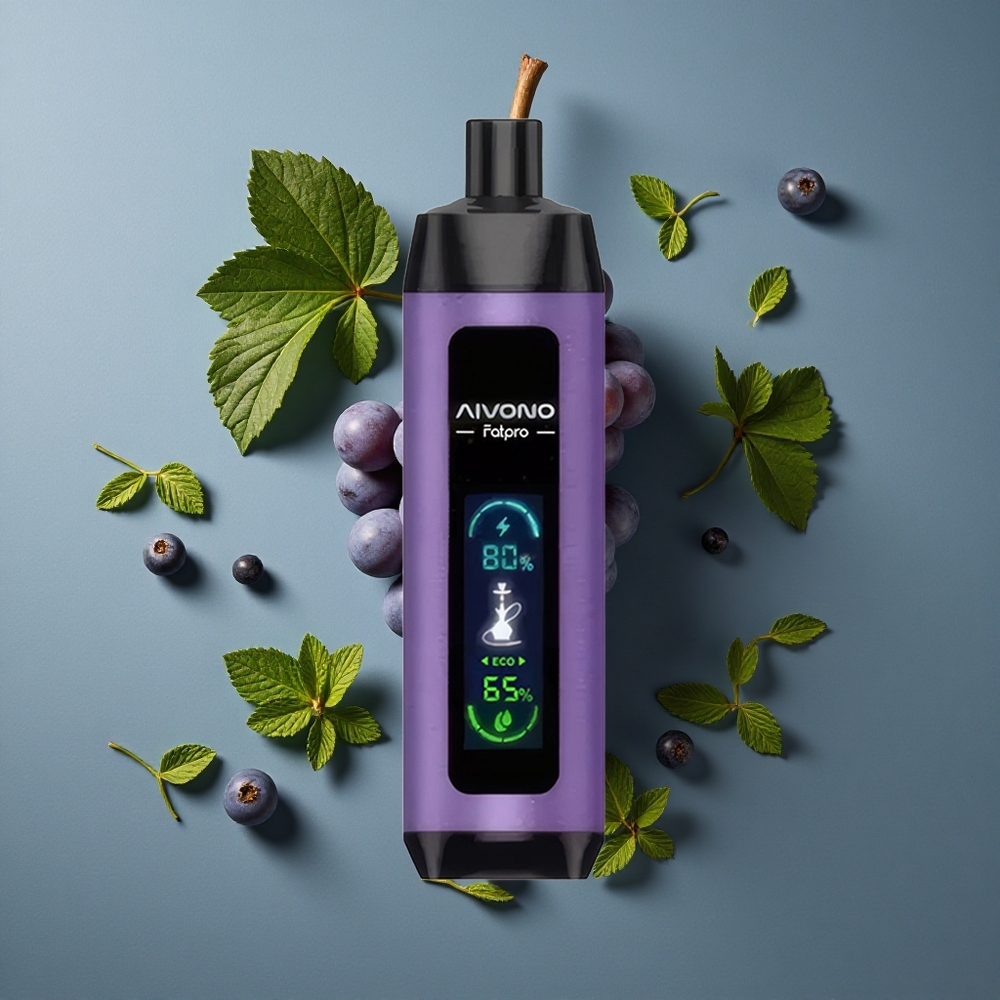 Menthe Raisin Aivono AIM FATPRO 22000 Puffs 28ml E-liquide vente en gros Belgique