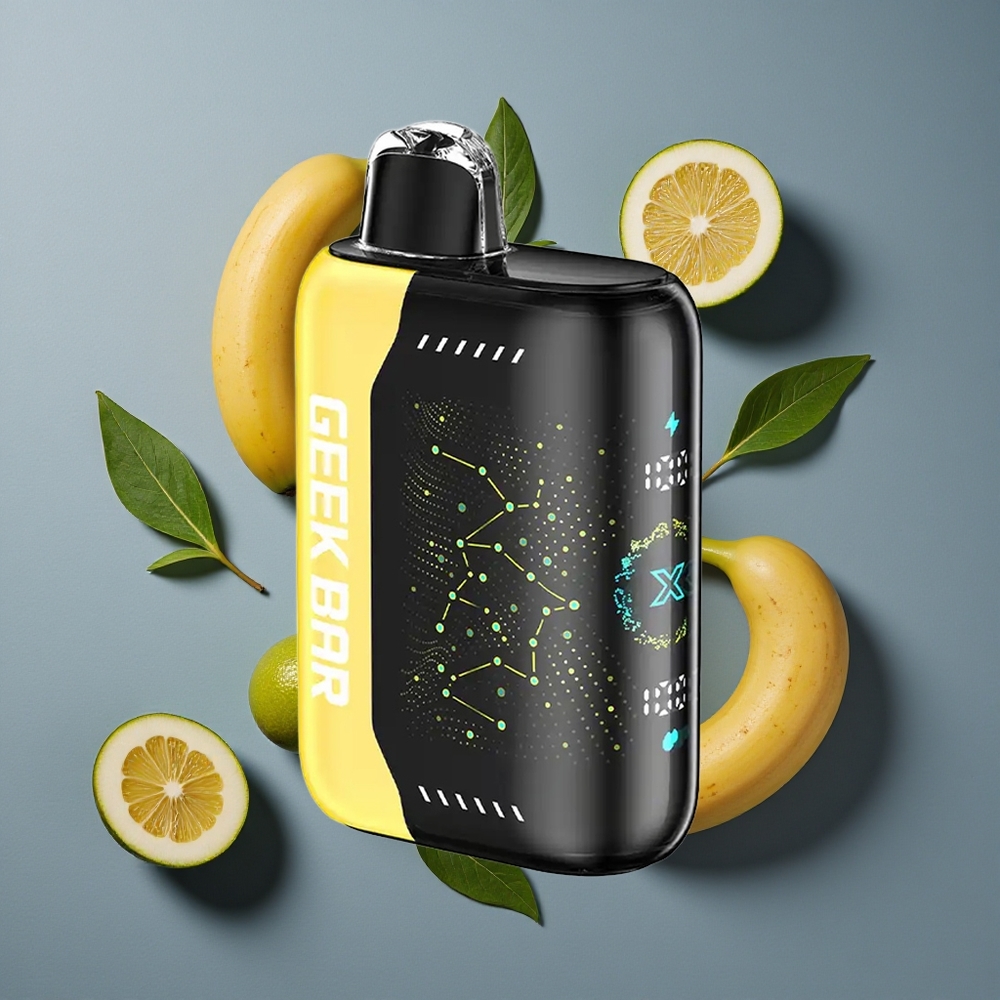 Menthe Fraîche GEEK BAR Pulse X 25000 Puffs 18mL Recharge USB Type-C vente en gros Belgique