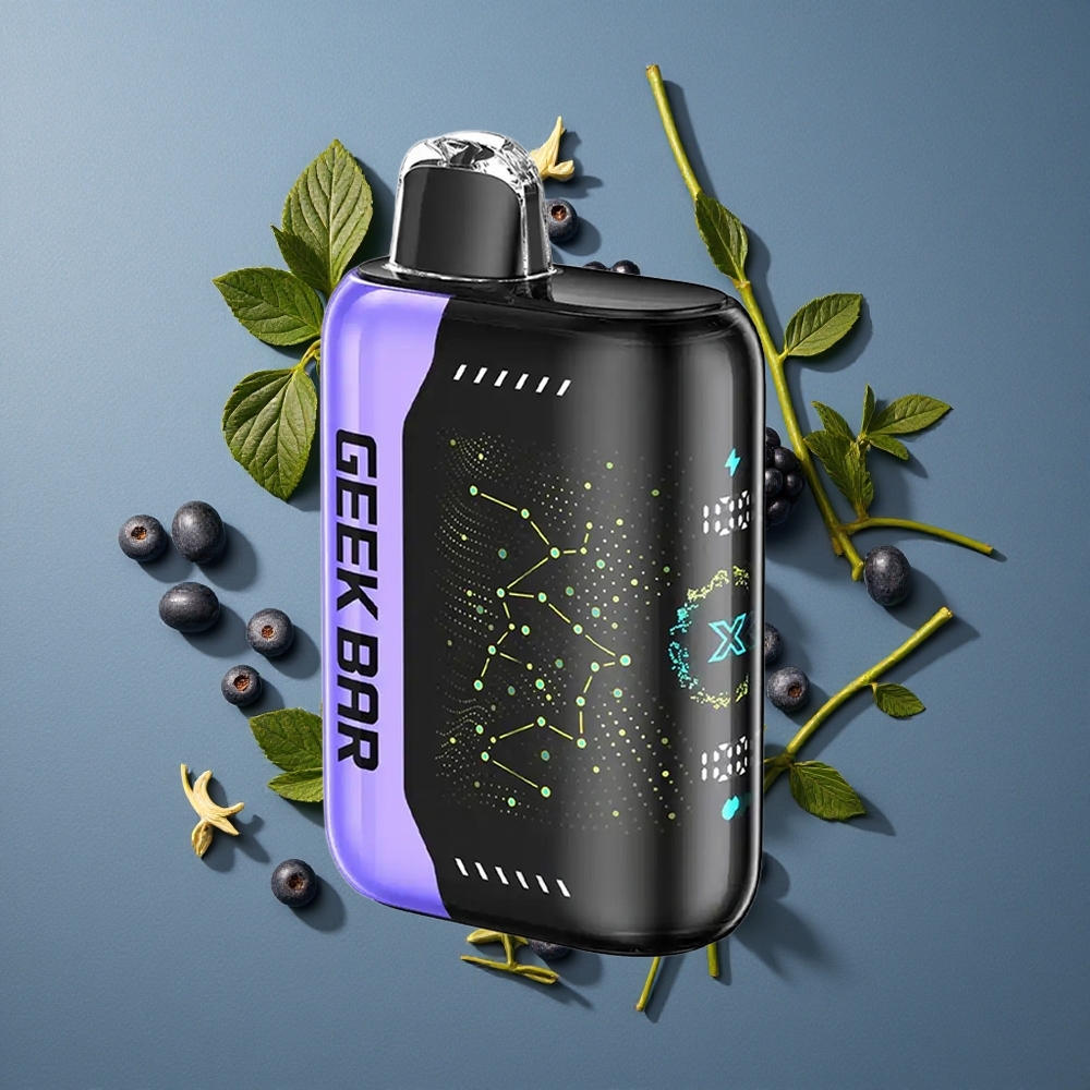 Menthe Fraîche GEEK BAR Pulse X 25000 Puffs 18mL Recharge USB Type-C vente en gros Belgique
