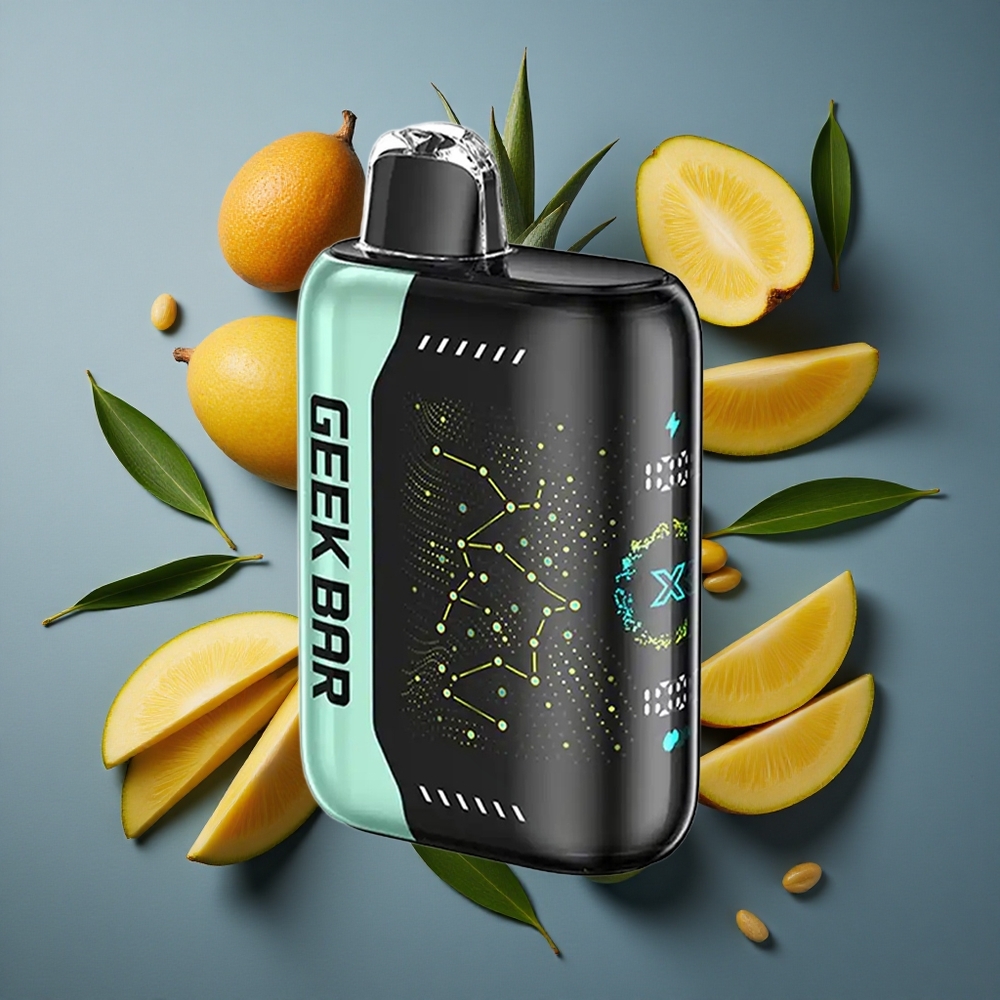 Menthe Fraîche GEEK BAR Pulse X 25000 Puffs 18mL Recharge USB Type-C vente en gros Belgique