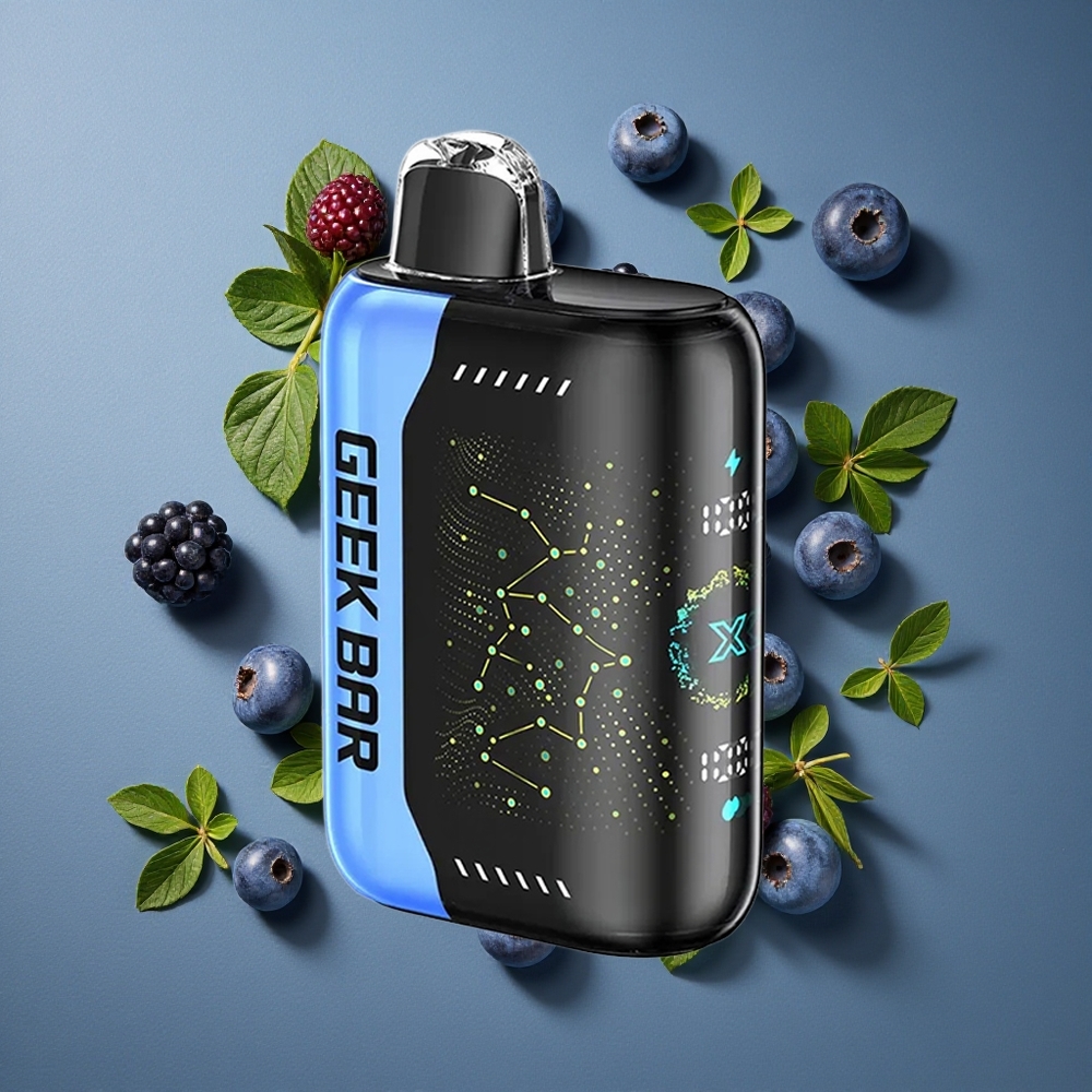 Menthe Fraîche GEEK BAR Pulse X 25000 Puffs 18mL Recharge USB Type-C vente en gros Belgique