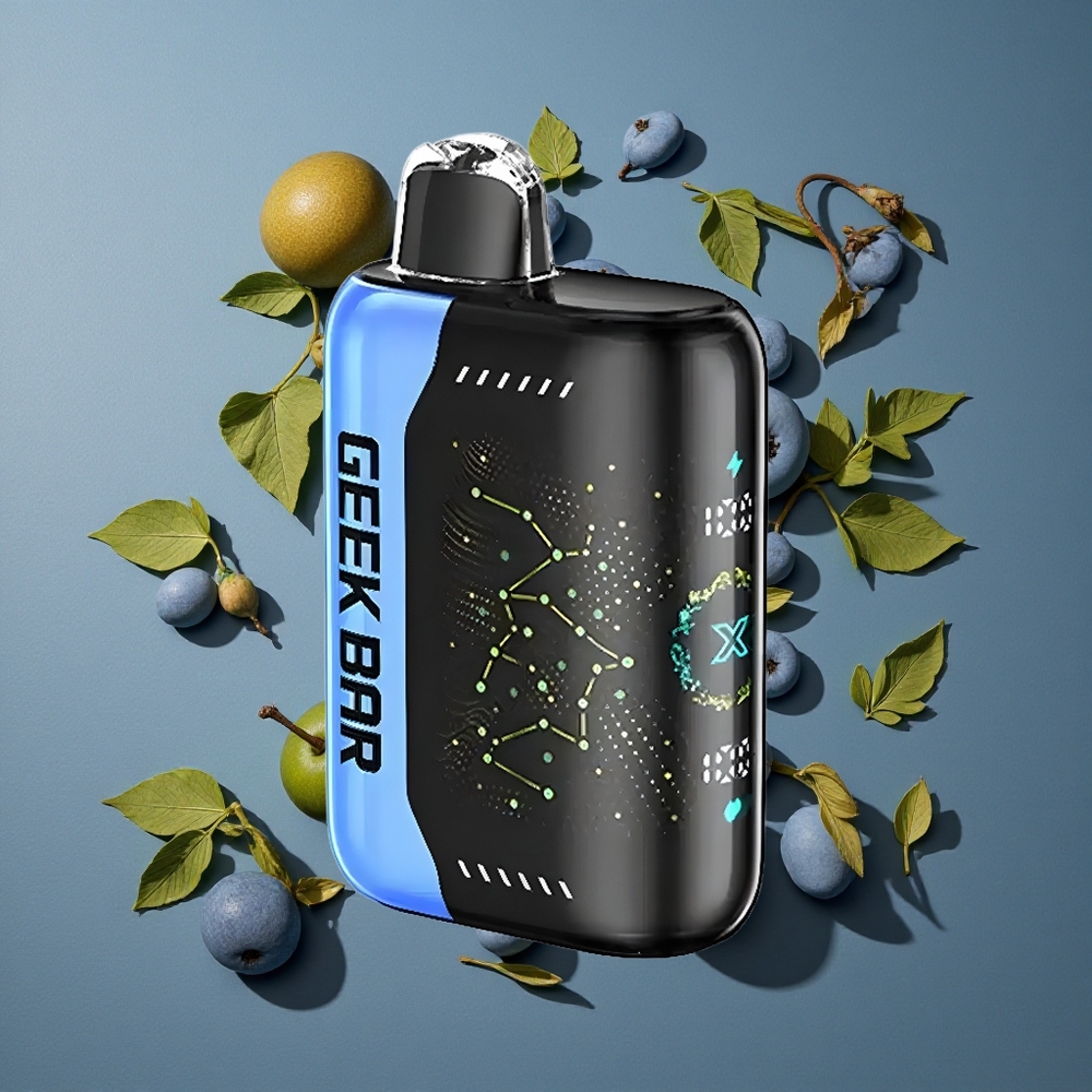 Menthe Fraîche GEEK BAR Pulse X 25000 Puffs 18mL Recharge USB Type-C vente en gros Belgique