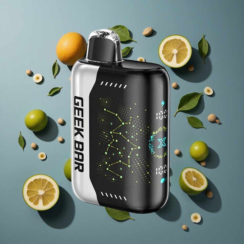 Menthe Fraîche GEEK BAR Pulse X 25000 Puffs 18mL Recharge USB Type-C vente en gros Belgique