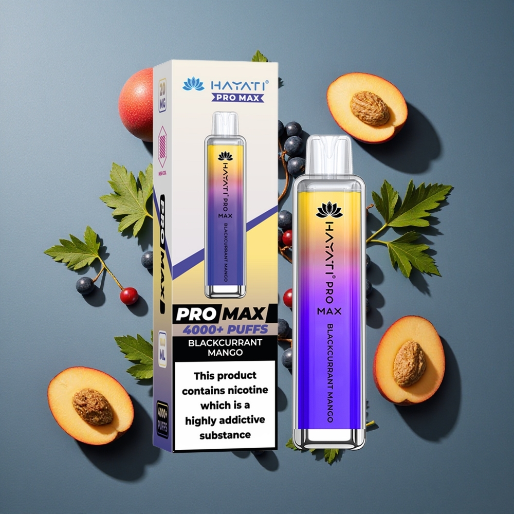 Cassis Mangue Hayati Pro Max 4000 Puffs vente en gros Belgique LED cristal rechargeable