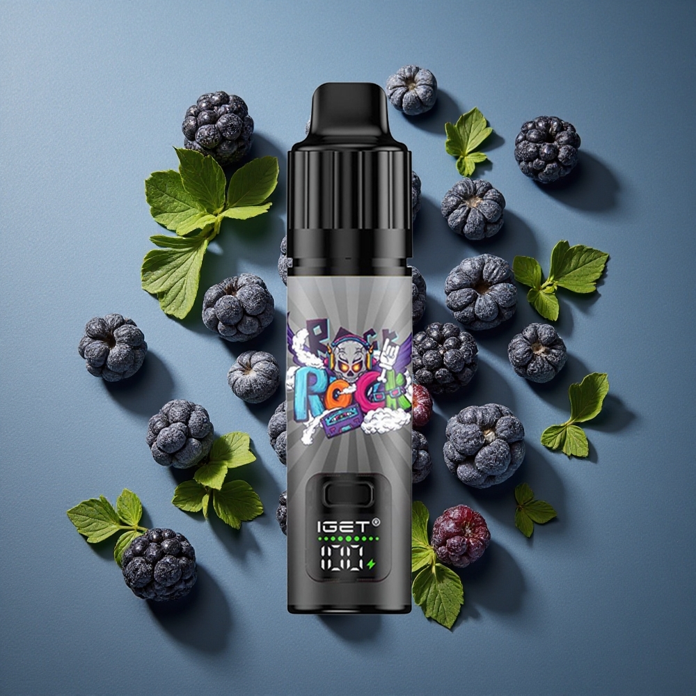 Mûre Glacée IGET BAR PLUS S3 POD 10000 Puffs 18 ml E-liquide vente en gros Belgique 950 mAh Rechargeable