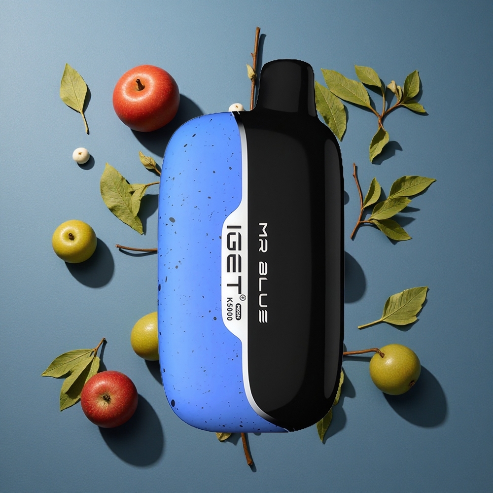 Bleu Mr IGET Moon K5000 Puffs Jusqu'à 5000 Bouffées vente en gros Belgique PC