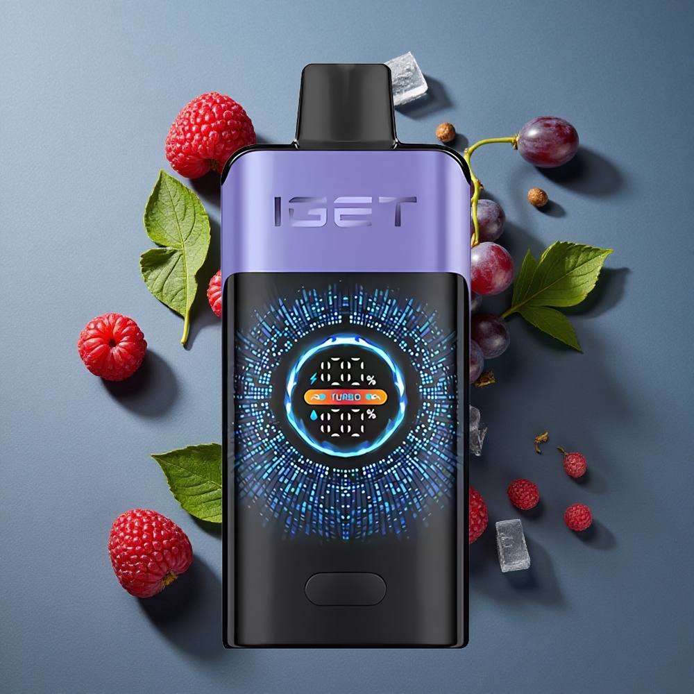 Framboise Raisin Glacé IGET ONE 12000 Puffs 2700 mAh vente en gros Belgique