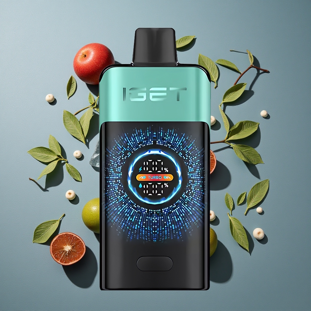 Menthe Glacée de Source Montagnarde IGET ONE 12000 Puffs 2700 mAh vente en gros Belgique