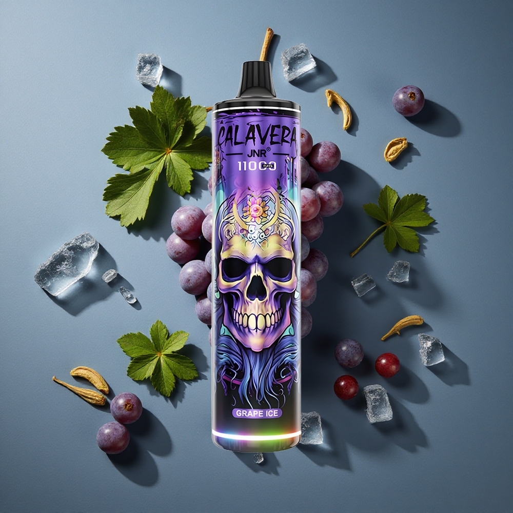 Glace Raisin JNR Calavera 11000 Puffs Rechargeable Type-C vente en gros Belgique