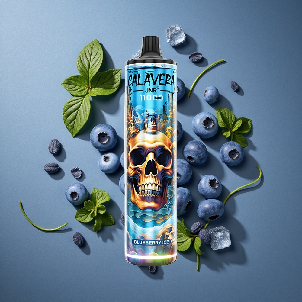 Myrtille Glace JNR Calavera 11000 Puffs Rechargeable Type-C vente en gros Belgique