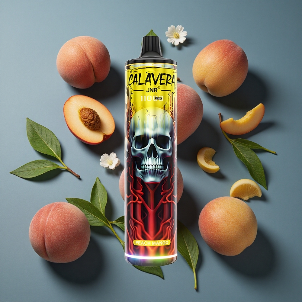 Pêche Mangue JNR Calavera 11000 Puffs vente en gros Belgique Port Type-C 21ml E-Liquide