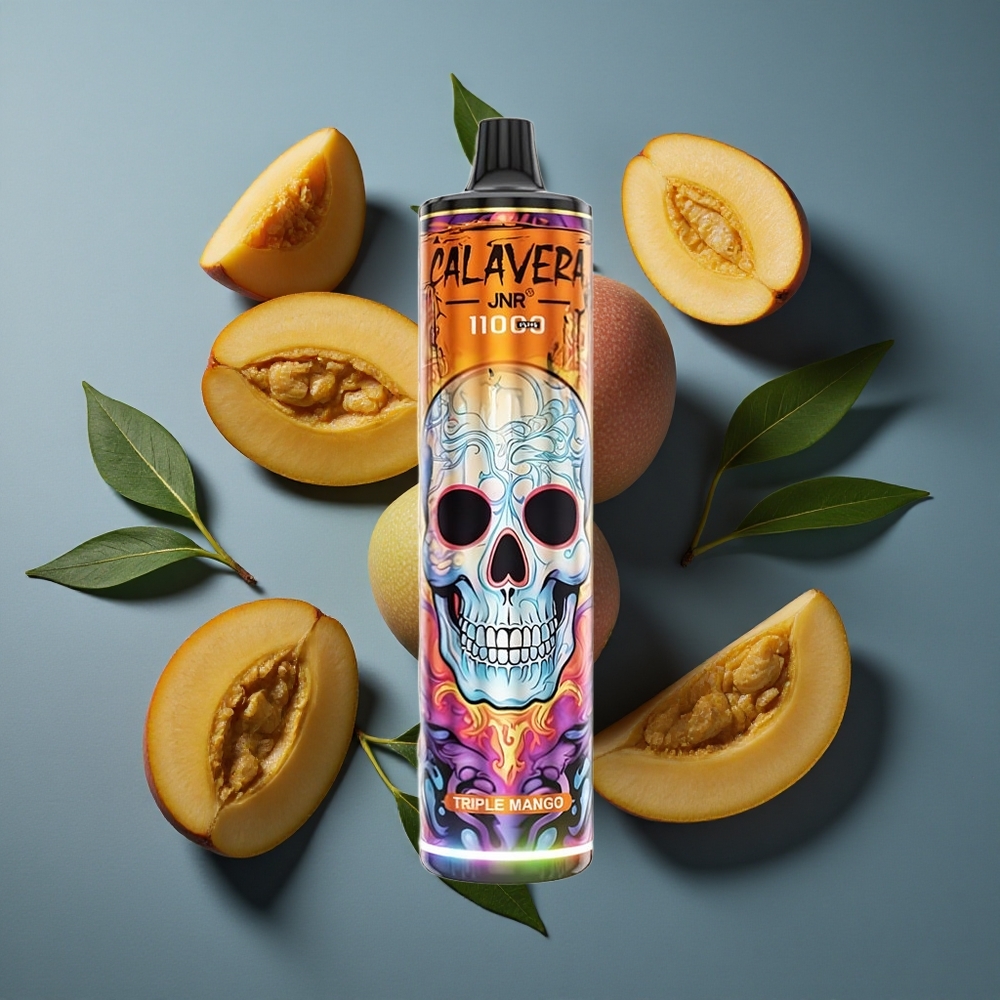Triple Mangue JNR Calavera 11000 Puffs Rechargeable Type-C vente en gros Belgique 21ml