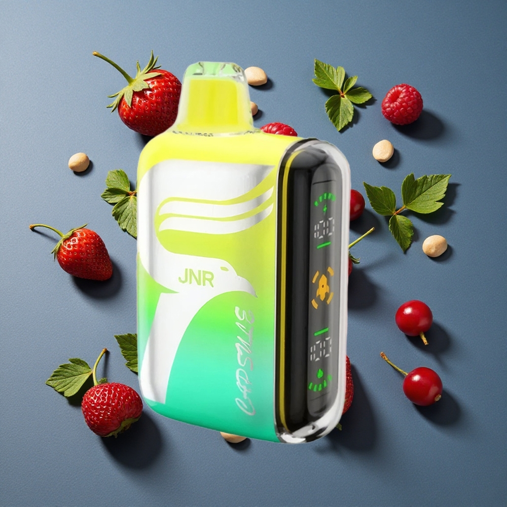 Fraise Framboise Cerise JNR Capsule 15000 Puffs Recharge Rapide Type-C vente en gros Belgique Dual Mesh Coil