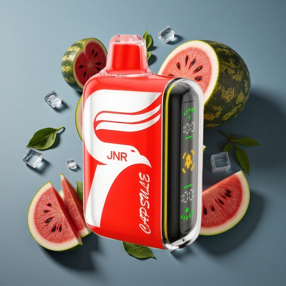 Pastèque Glacée JNR Capsule 15000 Puffs Dual Mesh Coil vente en gros Belgique 20W Smart LED Display