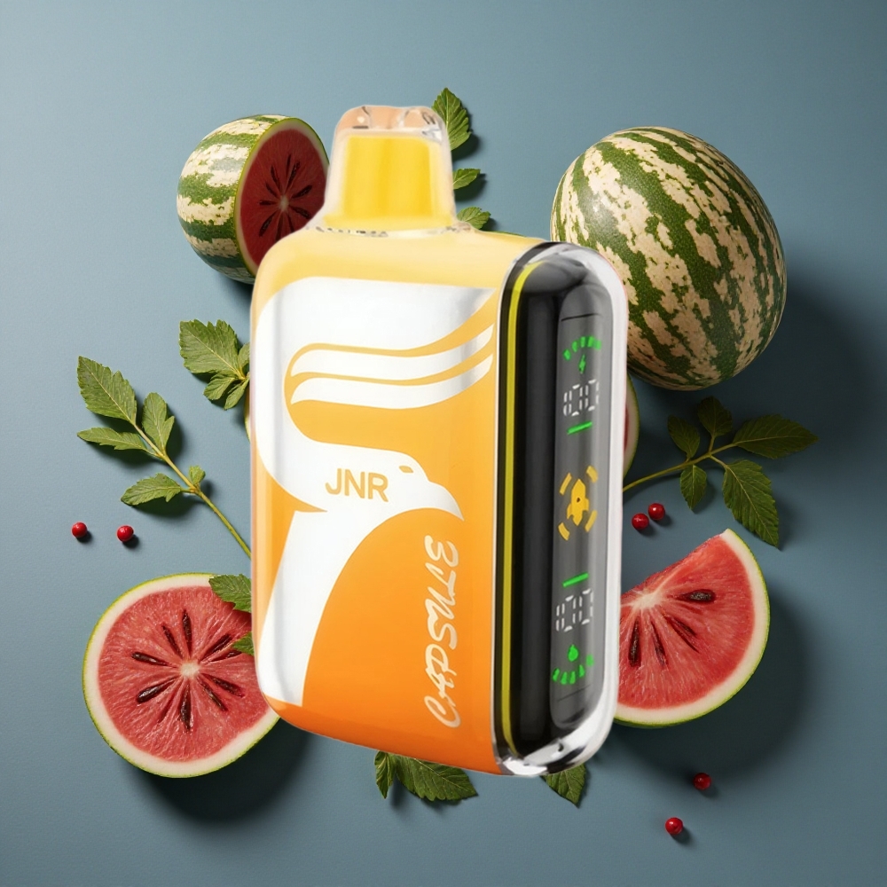 Pastèque Kiwi JNR Capsule 15000 Puffs Dual Mesh Coil vente en gros Belgique