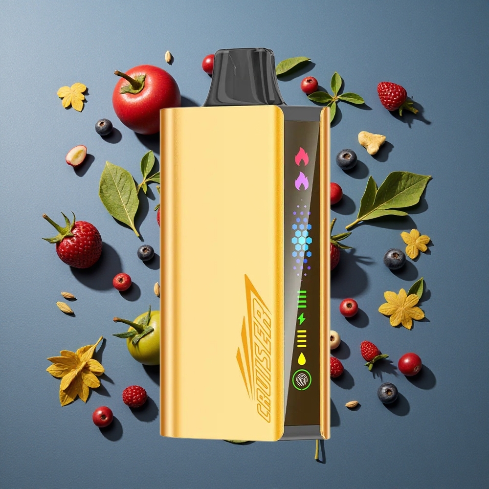 Baies Mixtes JNR Cruiser 12000 Puffs vente en gros Belgique Ecran Animé et Corps Aluminium