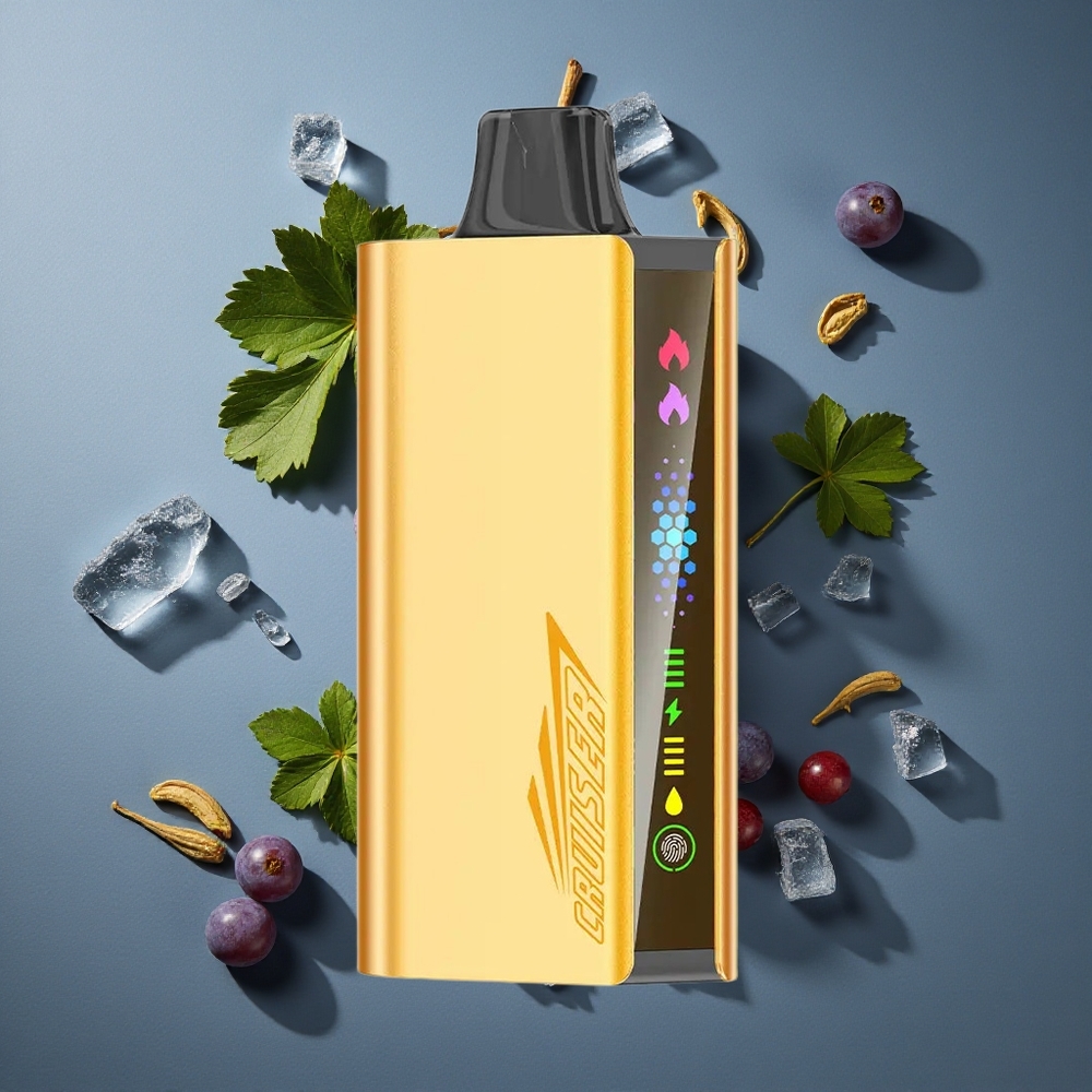 Glace Raisin JNR Cruiser 12000 Puffs vente en gros Belgique Ecran Animé et Corps Aluminium