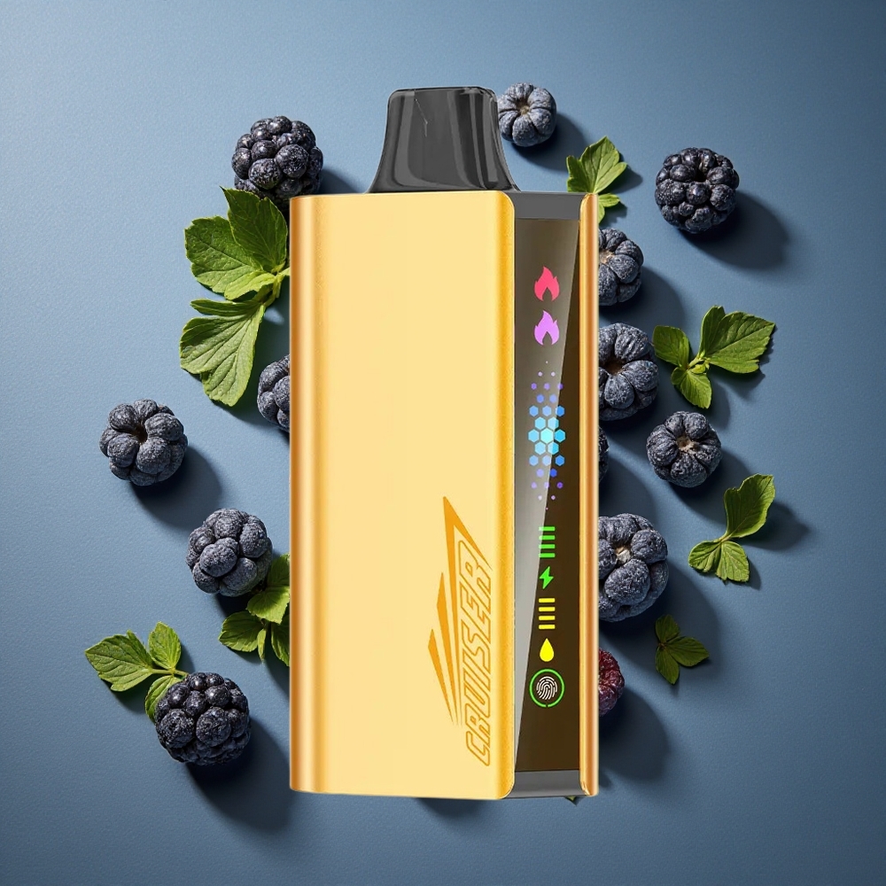 Mûre Glacée JNR Cruiser 12000 Puffs vente en gros Belgique Ecran Animé et Double Mesh 1.2ohm