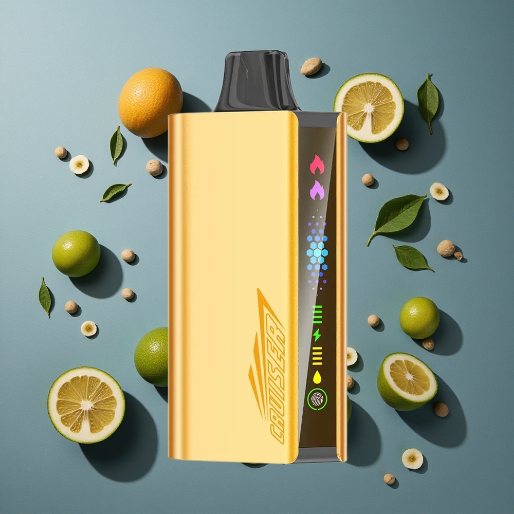 Menthe Glaciale JNR Cruiser 12000 Puffs vente en gros Belgique Boîtier Aluminium et 25ml E-liquide