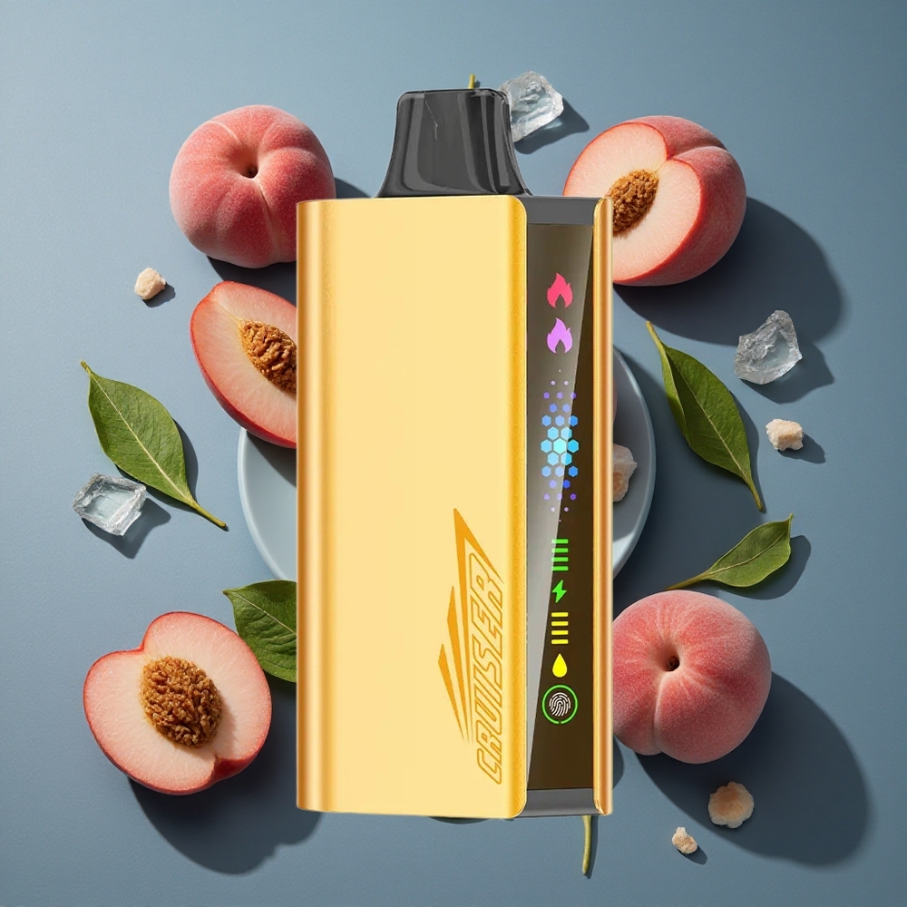 Pêche Glacée JNR Cruiser 12000 Puffs vente en gros Belgique Batterie Intégrée 3500 mAh