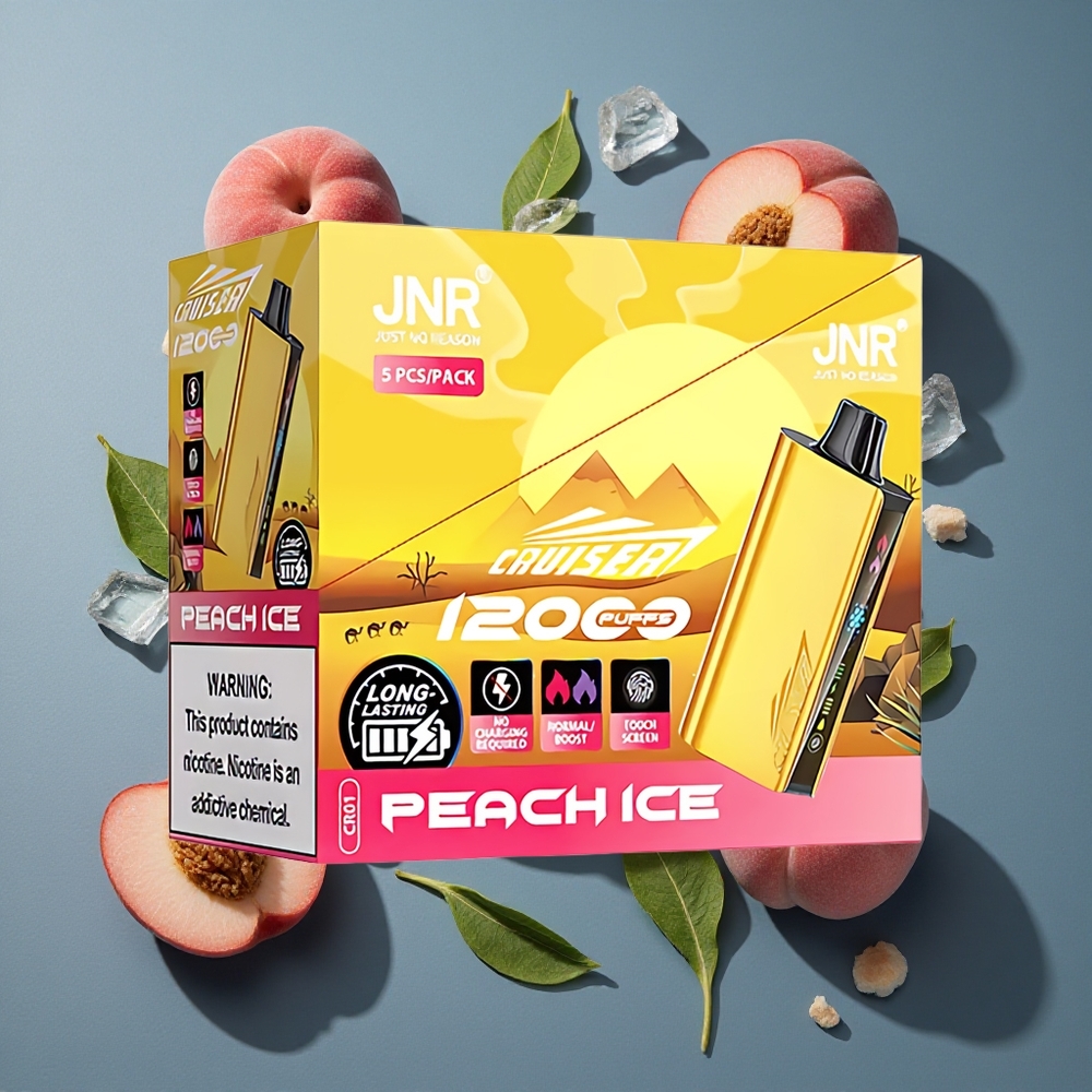Pêche Glacée JNR Cruiser 12000 Puffs vente en gros Belgique Batterie Intégrée 3500 mAh