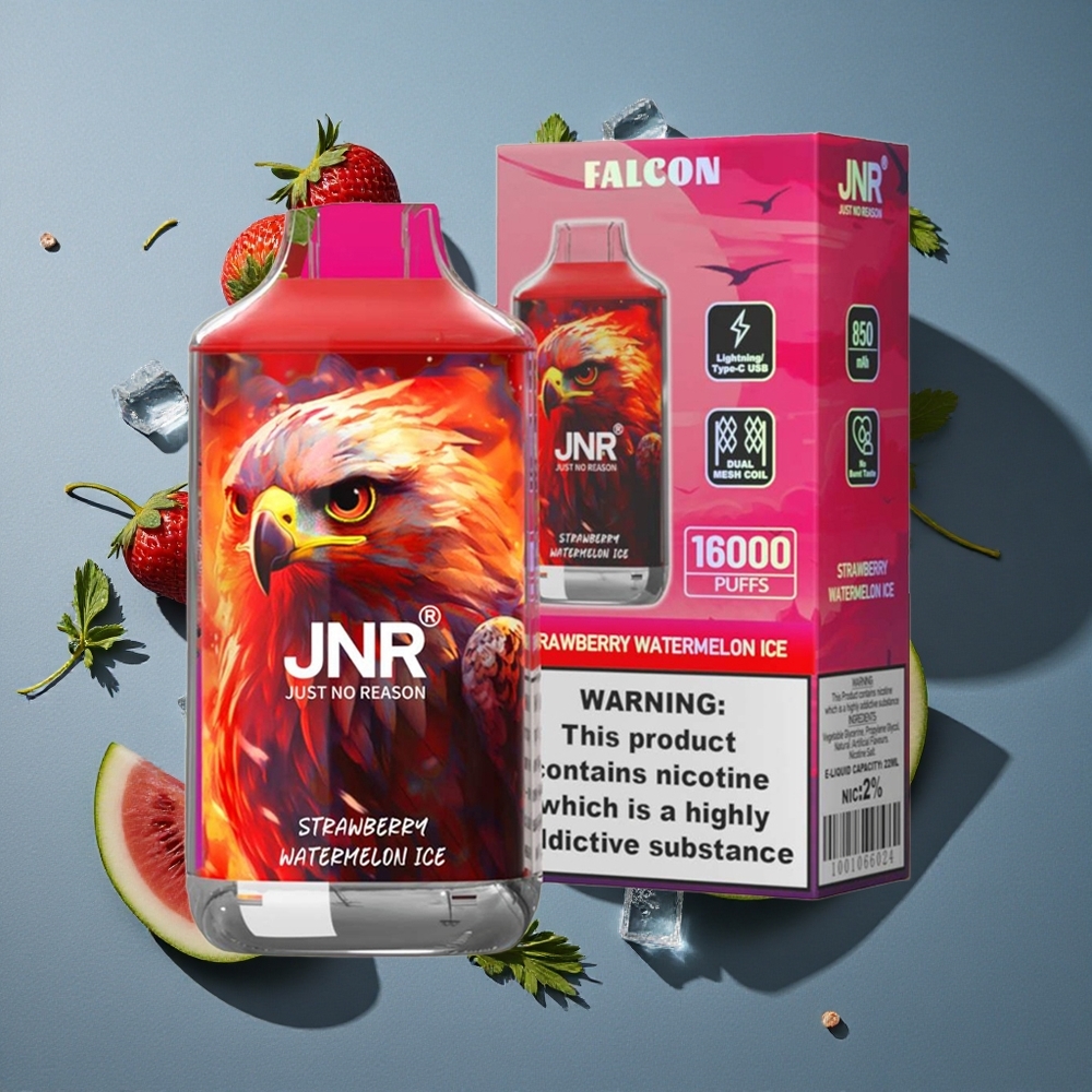 Fraise Pastèque Glacée JNR Falcon 16000 Puffs vente en gros Belgique Dual Mesh Coil