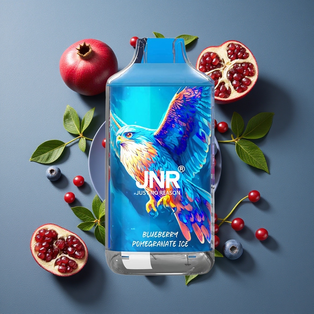 Myrtille Grenade Glacé JNR Falcon 16000 Puffs - 22ml e-liquide, 850 mAh - vente en gros Belgique