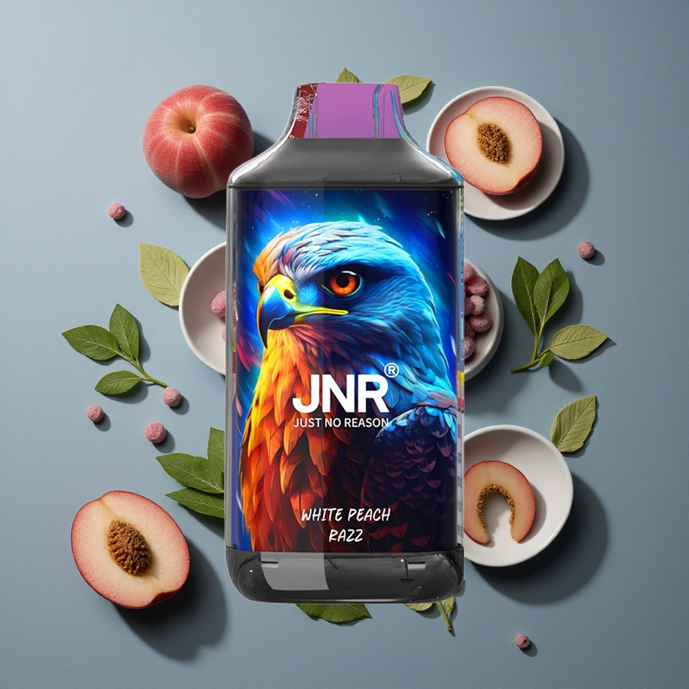 Pêche Blanche & Framboise JNR Falcon 16000 Puffs 22ml e-liquide vente en gros Belgique Dual Mesh Coil