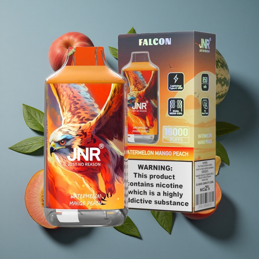 Pastèque Mangue Pêche JNR Falcon 16000 Puffs 22ml Dual Mesh Coil vente en gros Belgique