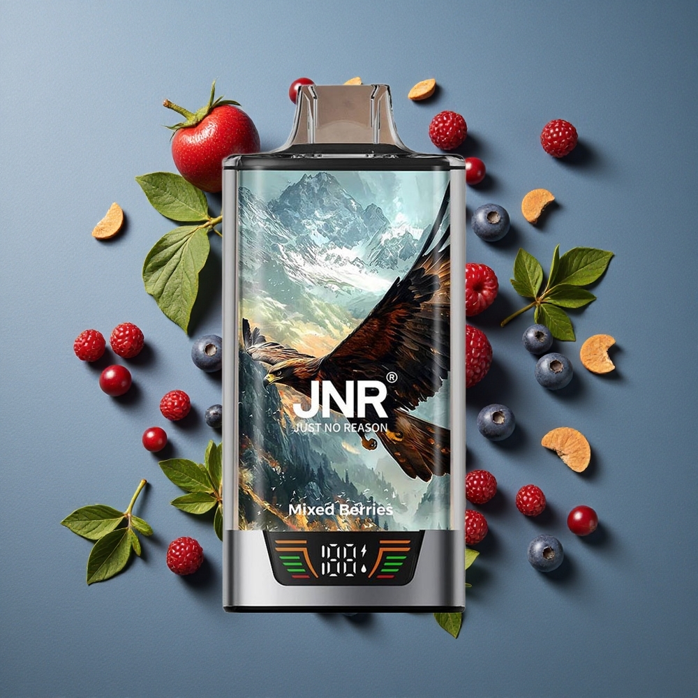Baies Mixtes JNR Falcon Pro 28000 Puffs vente en gros Belgique 30ml Prérempli
