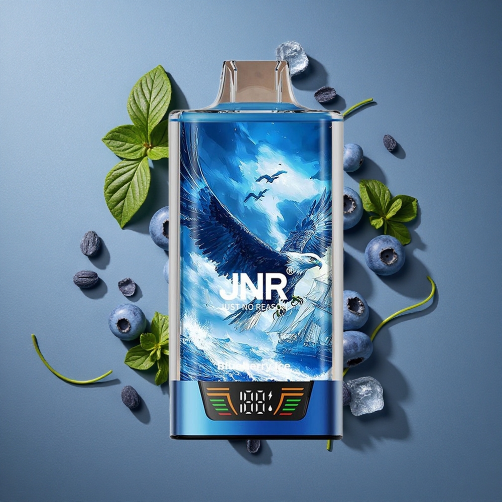 Glacé Myrtille JNR Falcon Pro 28000 Puffs vente en gros Belgique 30ml Préremplie Dual Mesh Coil