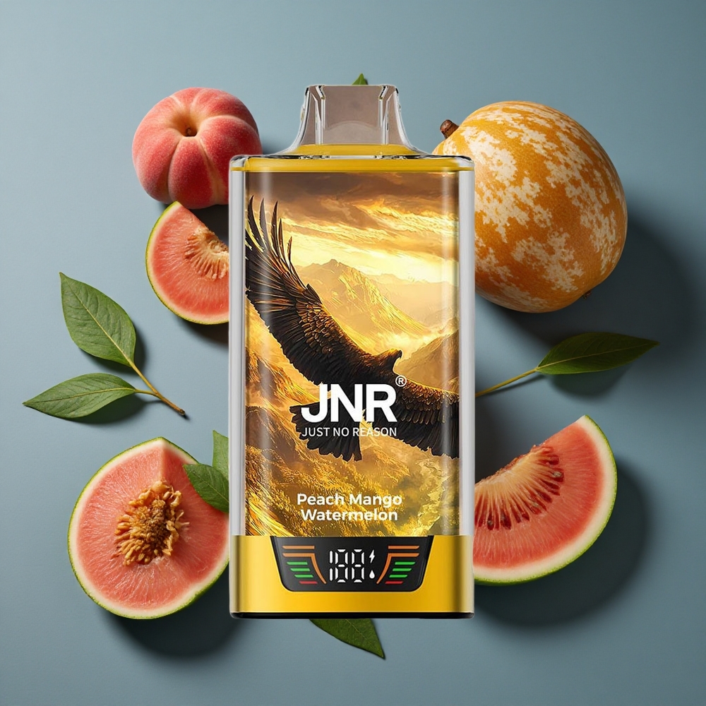 Pêche Mangue Pastèque JNR Falcon Pro 28000 Bouffées vente en gros Belgique 30ml Prérempli USB-C