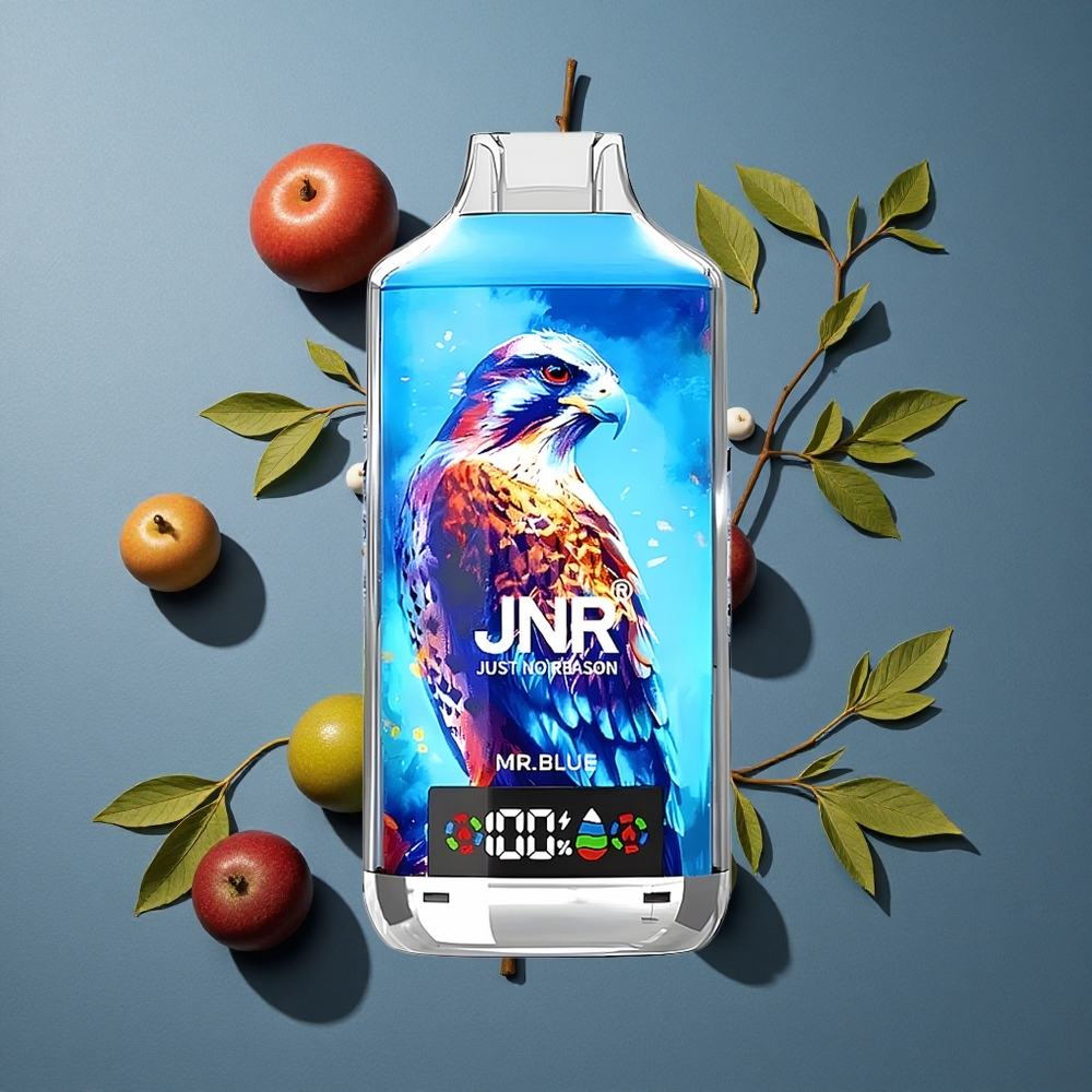 Bleu JNR Falcon X 18000 Puffs vente en gros Belgique Dual Mesh Coil & Dual Core