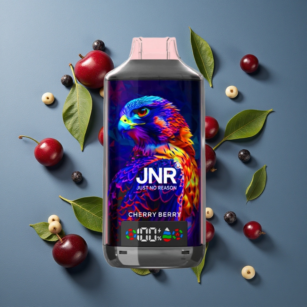 Cerise Baie JNR Falcon X 18000 Puffs vente en gros Belgique Affichage Numérique Type-C Charge Rapide