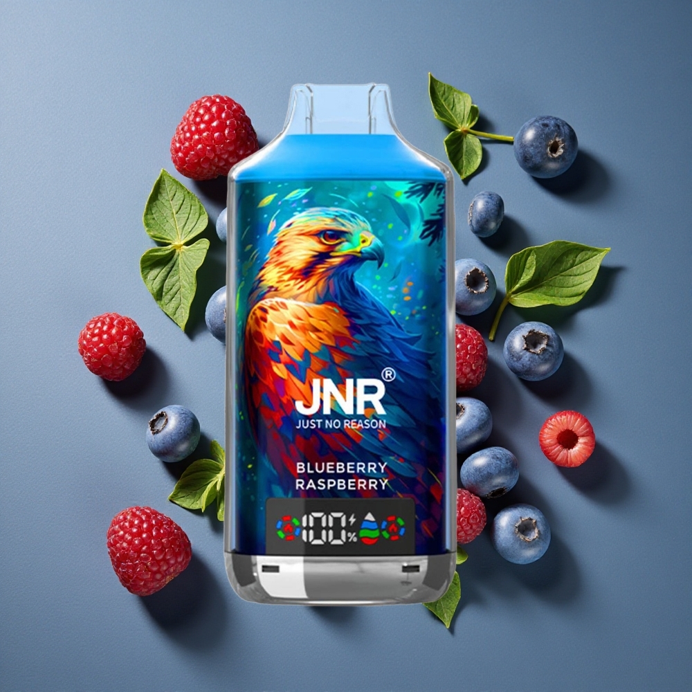 Myrtille Framboise JNR Falcon X 18000 Puffs vente en gros Belgique - 24ml & Charge Rapide Type-C
