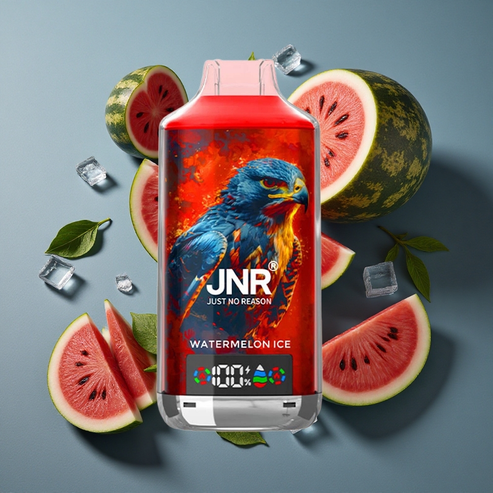 Pastèque Glacée JNR Falcon X 18000 Puffs - 24ml - vente en gros Belgique