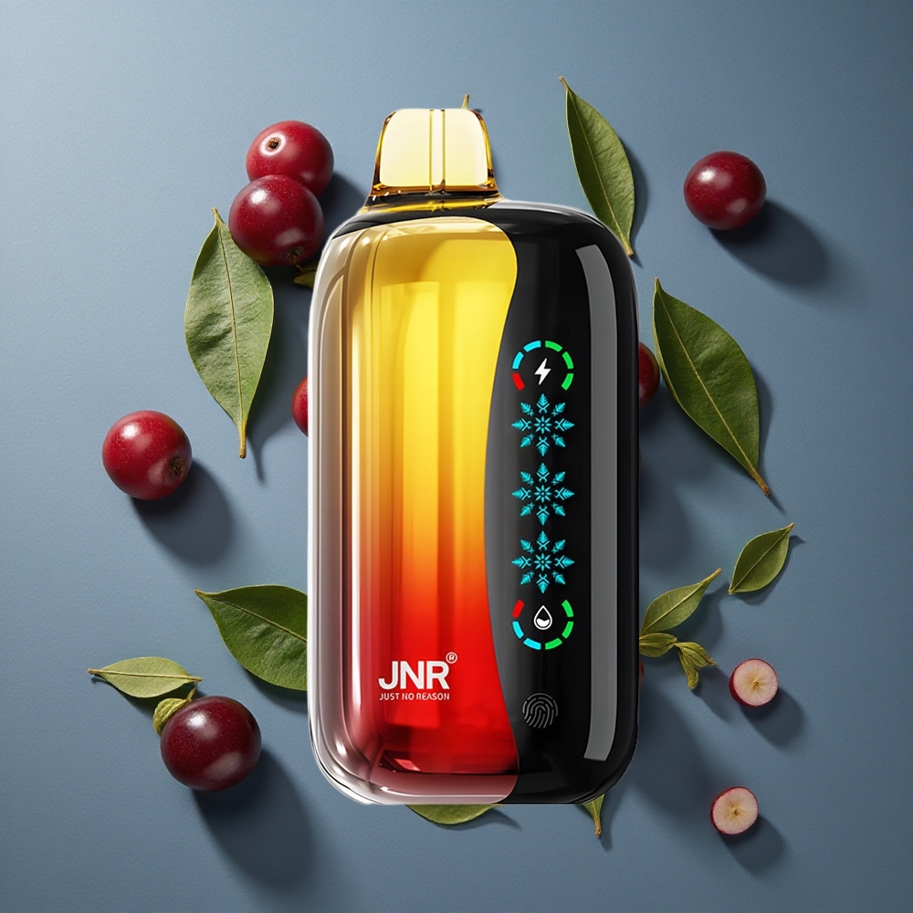 Cerise Cola JNR Flex Ice 21000 Puffs vente en gros Belgique Ice Adjustable 26ml E-liquid