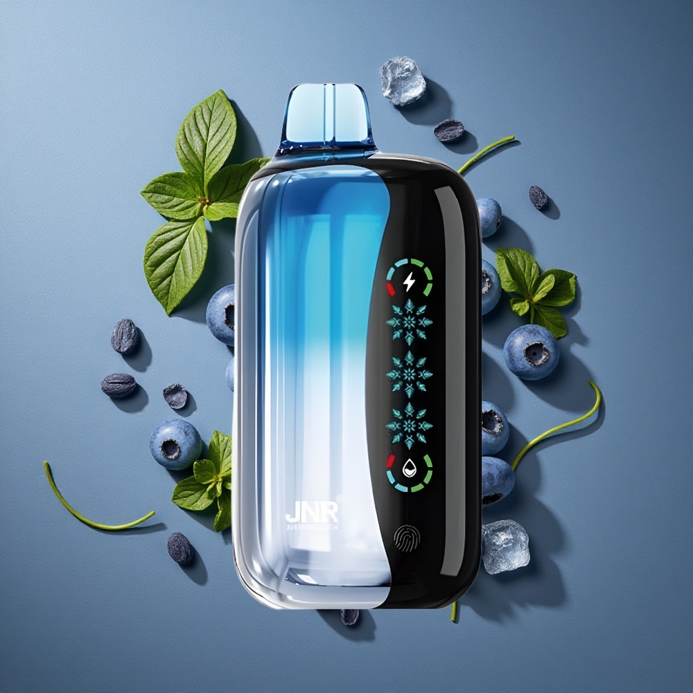 Myrtille Glacée JNR Flex Ice 21000 Puffs Rechargeable Type-C vente en gros Belgique