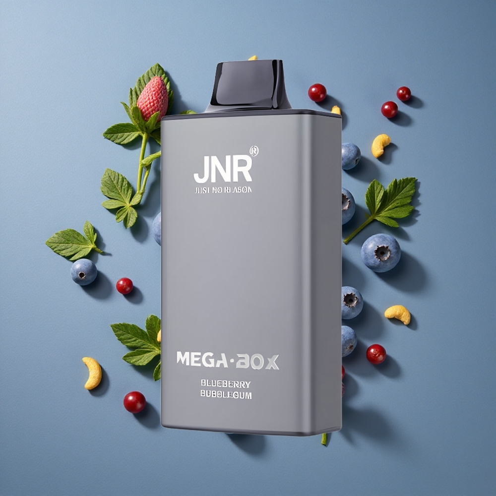 Bubblegum Myrtille JNR Mega Box 25000 Puffs 30ml Capacité E-liquide vente en gros Belgique