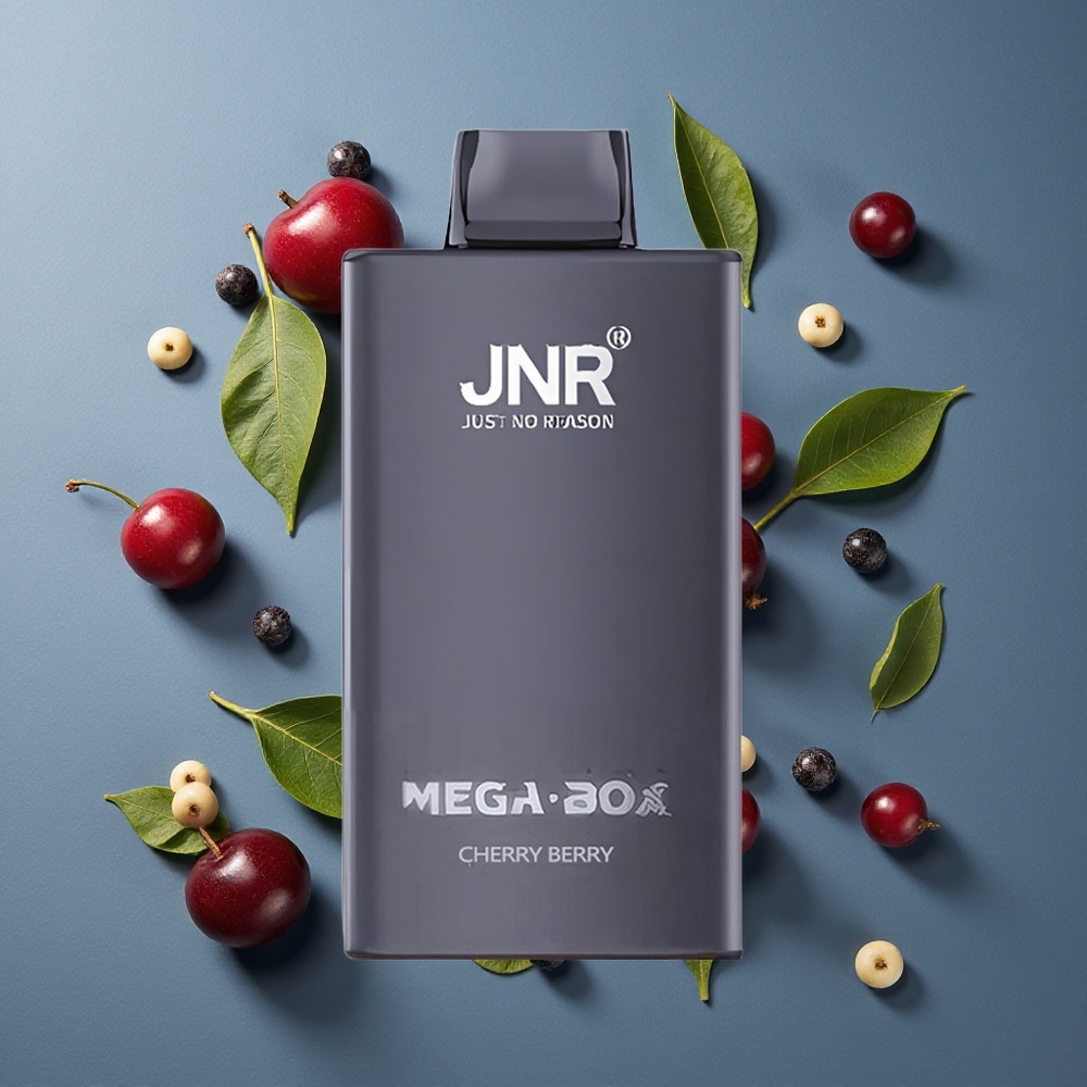 Cerise Baie JNR Mega Box 25000 Puffs 30ml Capacité E-liquide vente en gros Belgique