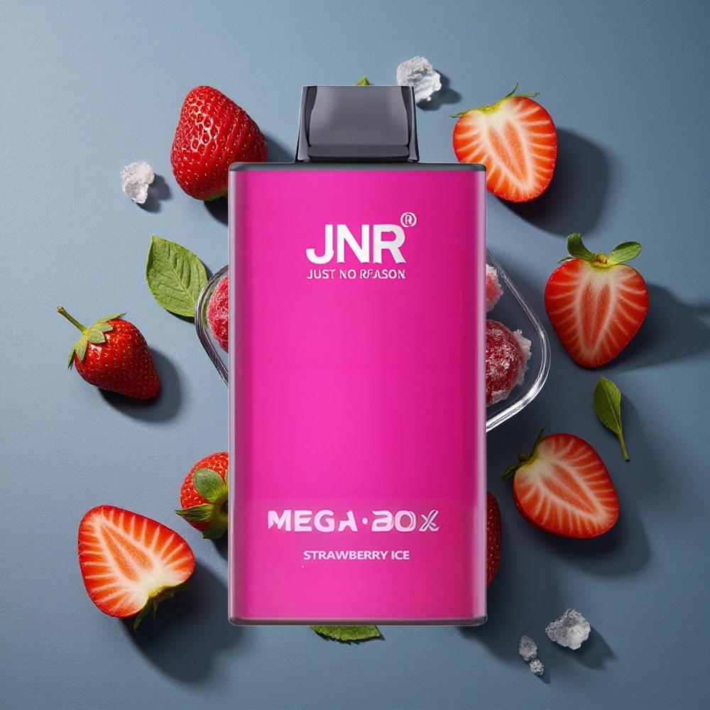 Fraise Menthe JNR Mega Box 25000 Puffs vente en gros Belgique 30ml E-liquide Dual Mesh Coil
