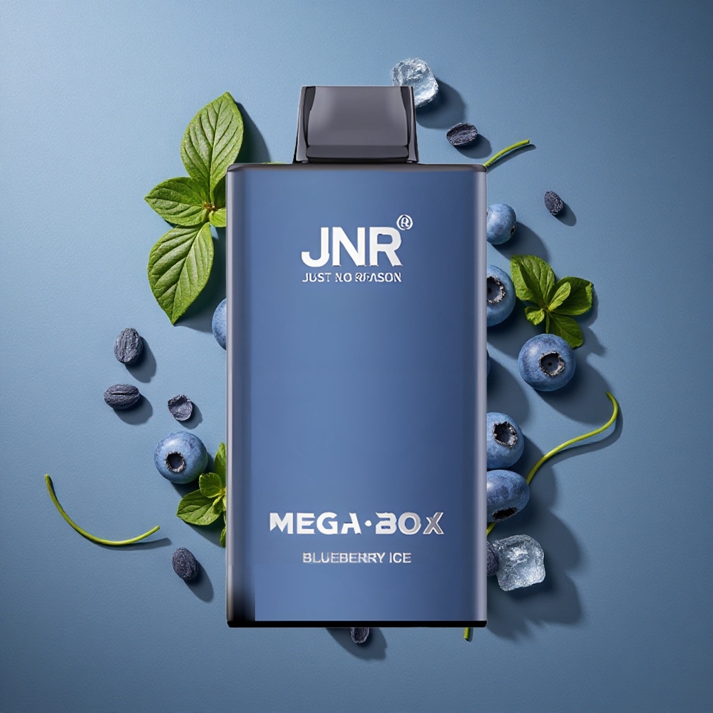 Glace Myrtille JNR Mega Box 25000 Puffs vente en gros Belgique 30ml E-liquide
