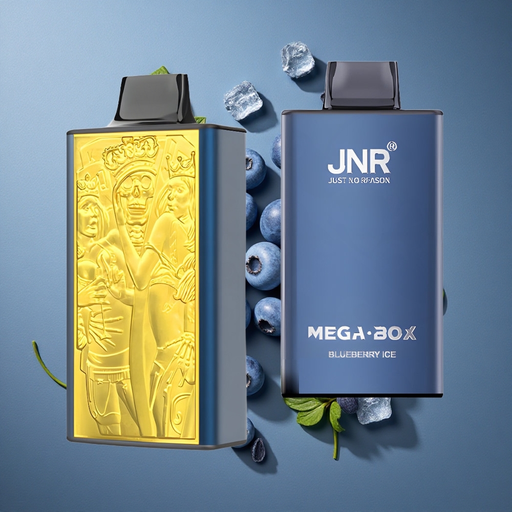 Glace Myrtille JNR Mega Box 25000 Puffs vente en gros Belgique 30ml E-liquide