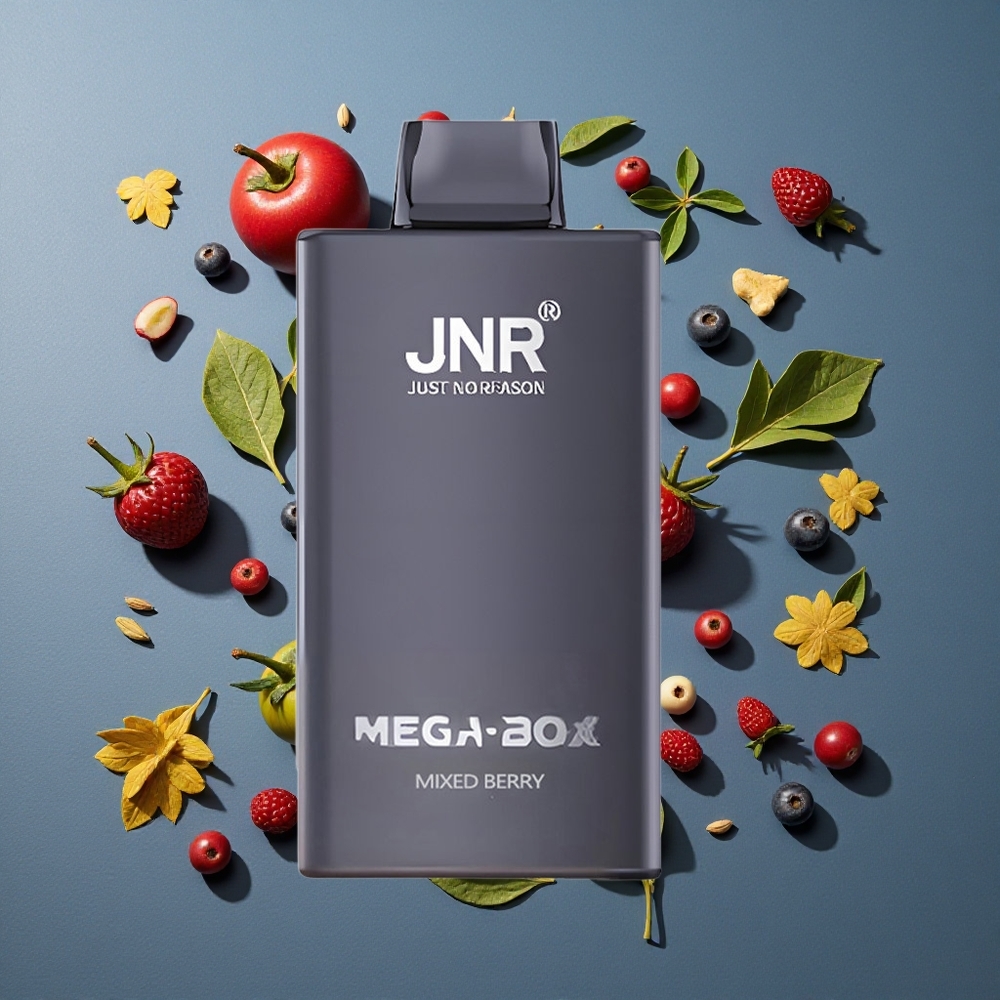Mélange de Baies JNR Mega Box 25000 Puffs vente en gros Belgique 30ml Dual Mesh