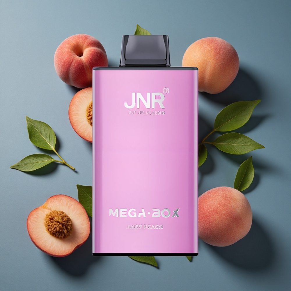 Pêche Juteuse JNR Mega Box 25000 Puffs 30ml Capacité vente en gros Belgique Dual Mesh Coil