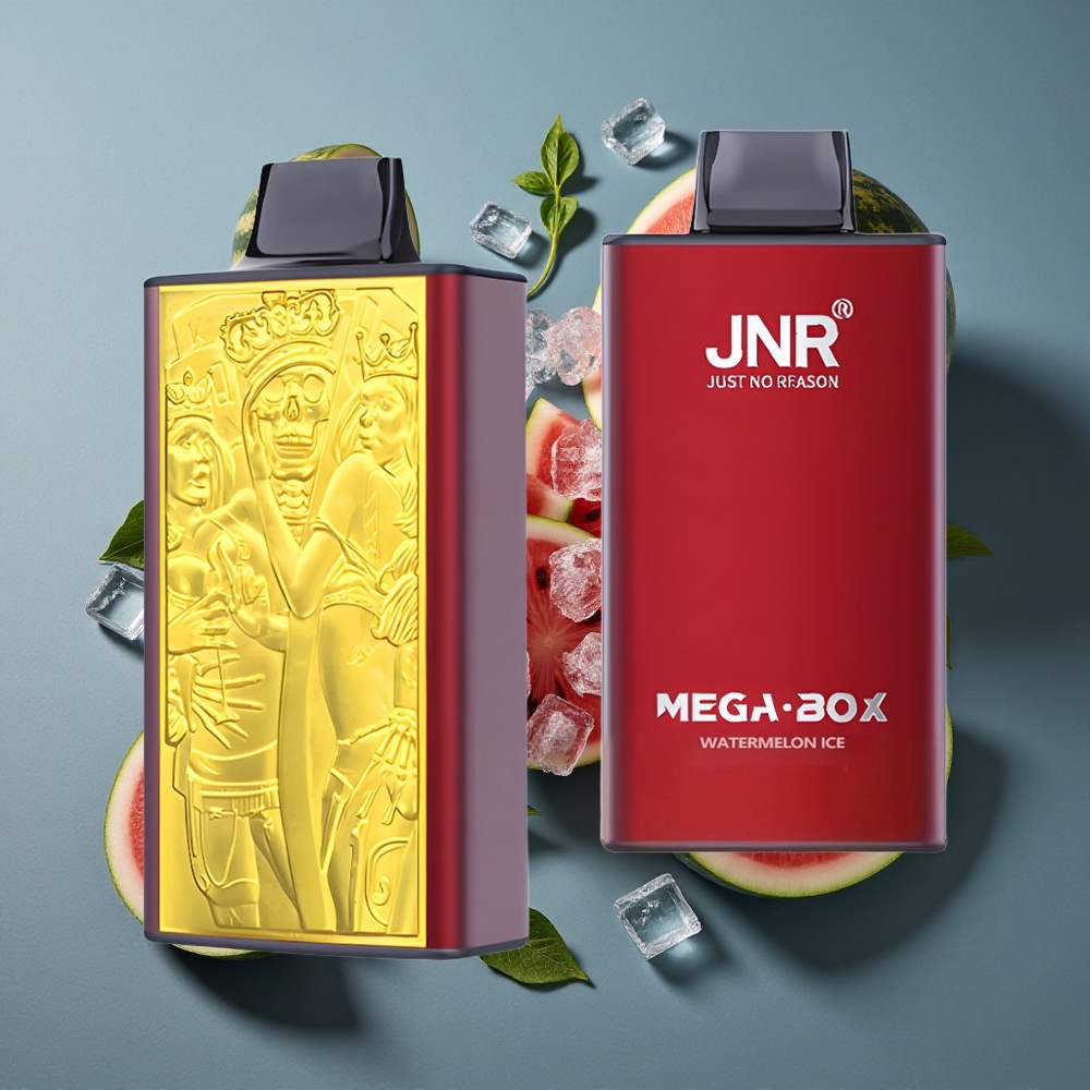 Pastèque Glace JNR Mega Box 25000 Puffs 30ml Capacité E-liquide vente en gros Belgique