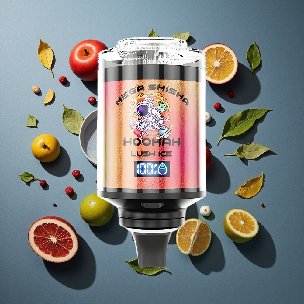 Glace Givrée JNR Mega Shisha Hookah 100K 100000 bouffées vente en gros Belgique 60ml capacité